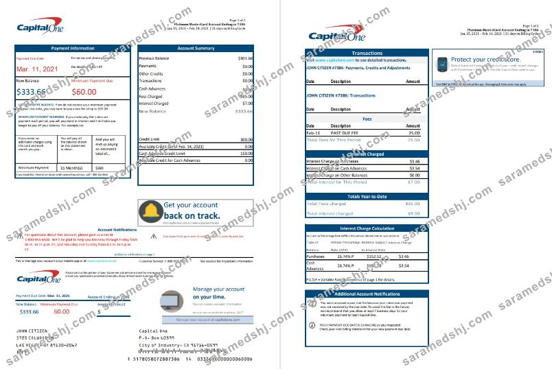 USA Capital One bank statement template in Excel and PDF format (2 pages) version 3